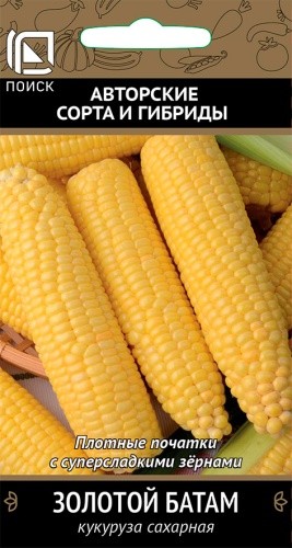 Семена Кукуруза Золотой батам сахарная (Поиск)
