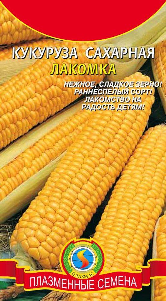 Купить Семена Кукурузы В Ростове