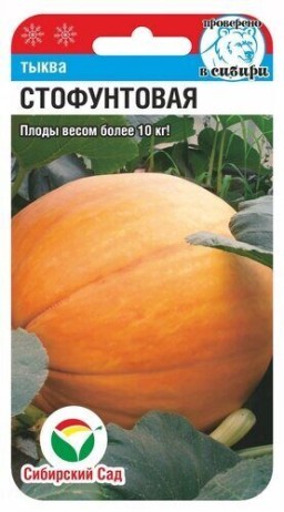 Тыква Стофунтовая (Сиб сад) Тыква Стофунтовая (Сиб сад)