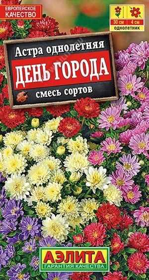 Семена Астра День города (Аэлита)