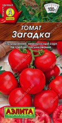 Томат Загадка (Аэлита)