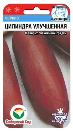 Свекла Цилиндра улучшенная (Сиб сад) Свекла Цилиндра улучшенная (Сиб сад)