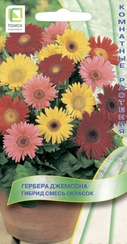 Семена Гербера Джемсона гибридная смесь (Поиск)