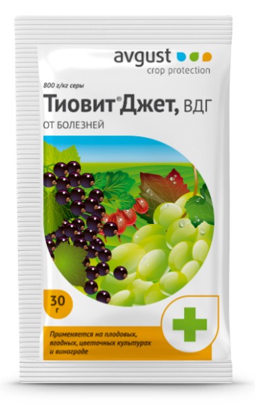  Тиовит Джет 30 г Август