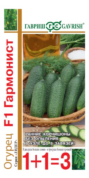 Семена Огурец Гармонист F1  1+1 (Гавриш)