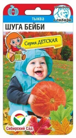 Тыква Шуга Бейби (Сиб cад) Тыква Шуга Бейби (Сиб cад)