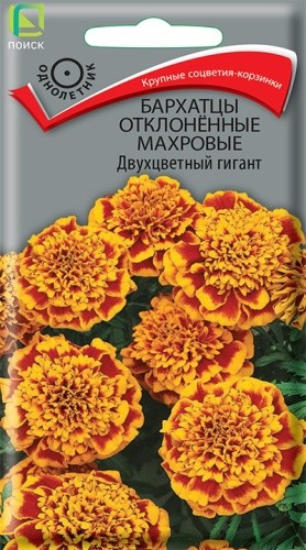 Семена Бархатцы отклоненные Двухцветный гигант (Поиск)