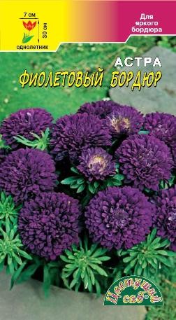 Семена Астра Бордюр Фиолетовый низкорослая ЦС