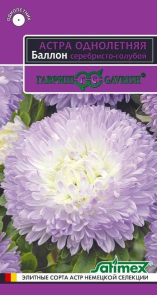 Семена Астра Баллон серебристо-голубой (Гавриш)