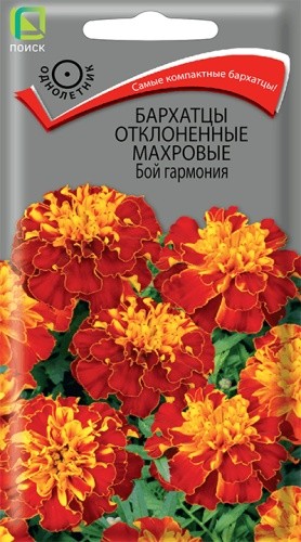 Семена Бархатцы отклоненные Бой гармония махровые (Поиск)