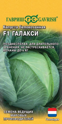 Капуста белокочанная Галакси F1 (Гавриш) Капуста белокочанная Галакси F1 (Гавриш)