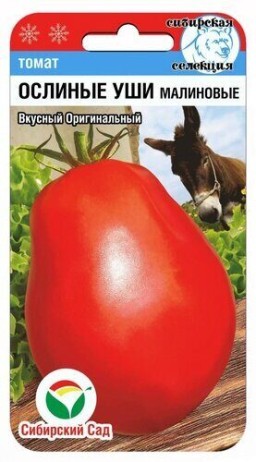 Томат Ослиные уши малиновые (Сиб сад) Томат Ослиные уши малиновые (Сиб сад)