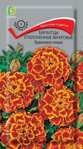 Семена Бархатцы отклоненные Оранжевое пламя (Поиск)