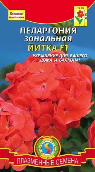 Семена Пеларгония зональная Йитка F1 ПЛ