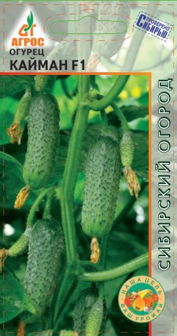 Огурец Кайман (Агрос) Огурец Кайман (Агрос)