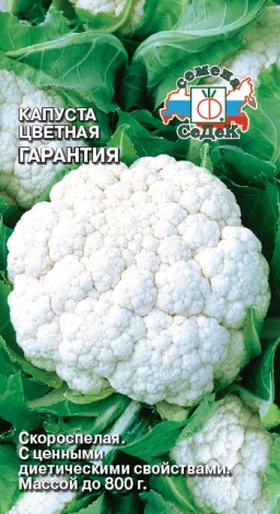 Капуста цветная Гарантия (СеДеК) Капуста цветная Гарантия (СеДеК)