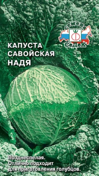 Семена Капуста савойская Надя (СеДеК)