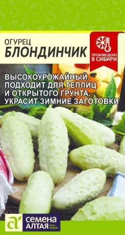 Огурец Блондинчик (Семена Алтая) Огурец Блондинчик (Семена Алтая)