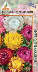 Гелихризум Радуга махровая (Агрос)