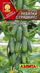 Огурец Ребятки с грядки F1 (Аэлита)