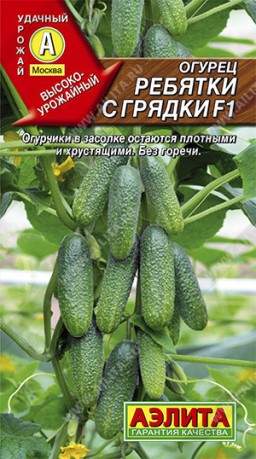 Огурец Ребятки с грядки F1 (Аэлита) Огурец Ребятки с грядки F1 (Аэлита)