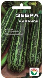 Кабачок Зебра  (Сиб Сад)
