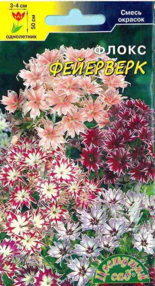 Семена Флокс Фейерверк, смесь ЦС