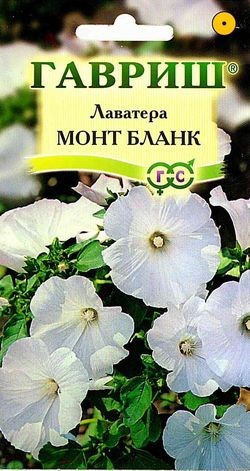 Семена Лаватера Монт Бланк (Гавриш)