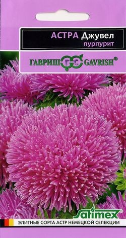 Семена Астра Джувел Пурпурит (Гавриш)