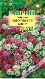 Лобулярия Королевский ковер (Гавриш)
