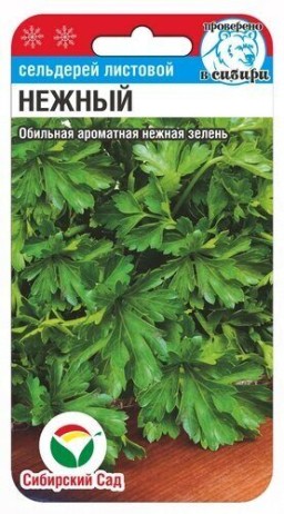 Сельдерей листовой Нежный (Сиб Сад) Сельдерей листовой Нежный (Сиб Сад)