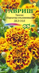 Бархатцы отклоненные Дел Сол (Гавриш)