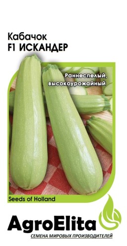 Кабачок Искандер F1 (АгроЭлита)