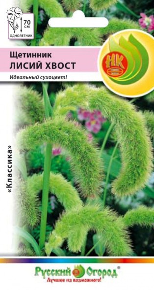 Семена Щетинник Лисий хвост НК