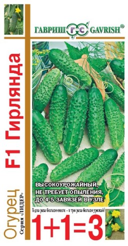 Огурец Гирлянда 1+1 F1 (Гавриш) Огурец Гирлянда 1+1 F1 (Гавриш)