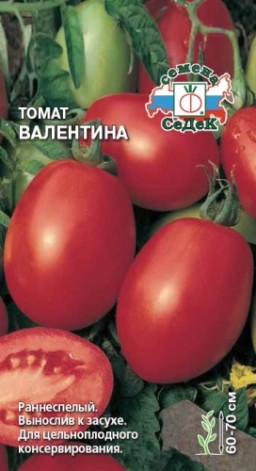 Томат Валентина (СеДеК) Томат Валентина (СеДеК)