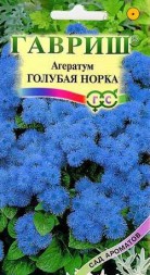 Агератум Голубая норка (Гавриш)