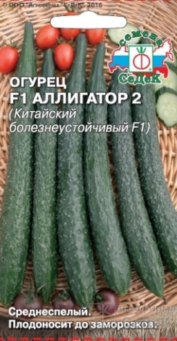 Огурец Аллигатор 2 F1 (СеДеК) Огурец Аллигатор 2 F1 (СеДеК)