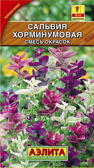 Семена Сальвия Хорминумовая  (Аэлита)