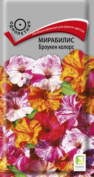 Семена Мирабилис Броукен Колорс (Поиск)