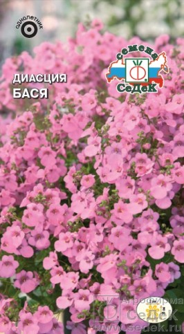 Семена Диасция Бася ампельная (СеДеК)
