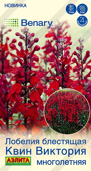 Семена Лобелия Квин Виктория (Аэлита)