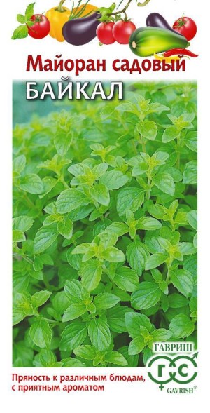 Семена Майоран Байкал (Гавриш)