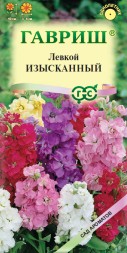 Левкой Изысканный, смесь (Гавриш)