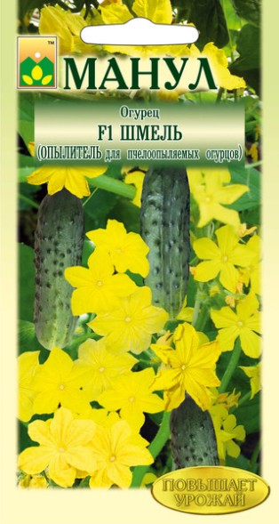 Семена Огурец Шмель F1 (опылитель пчелоопыляемых огурцов) Манул