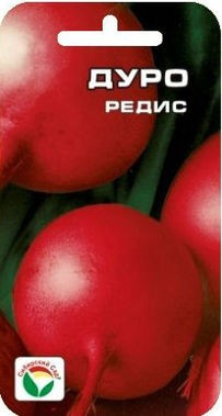 Редис Дуро (Сиб сад) Редис Дуро (Сиб сад)