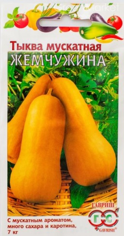 Тыква мускатная Жемчужина (Гавриш) Тыква мускатная Жемчужина (Гавриш)