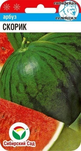 Семена Арбуз Скорик (Сиб сад)