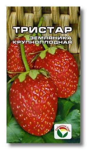 Семена Земляника ТРИСТАР (Сиб сад)