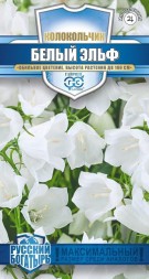 Колокольчик Белый Эльф персиколистный (Гавриш)
